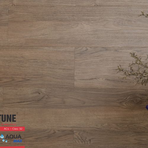 Sàn Gỗ Fortune 8mm Aqua 800